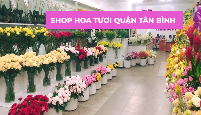 Top 7 shop hoa tươi quận Tân Bình